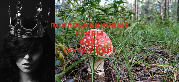 меф VHQ Медногорск